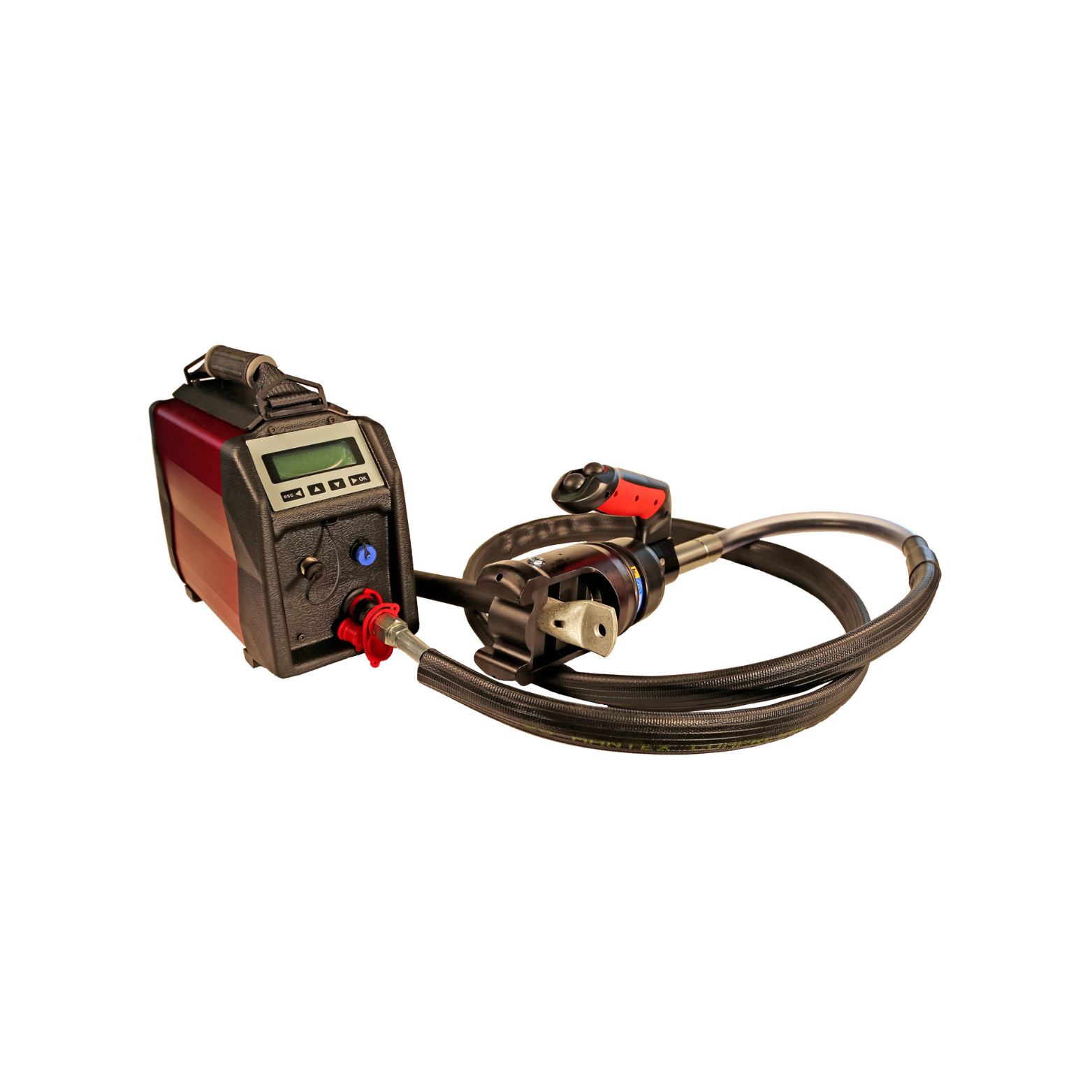 Untitled design (54)